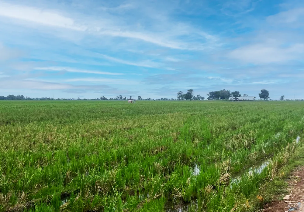 TANAH DI KAB. KARAWANG - WOFF750-1 - Jawa Barat