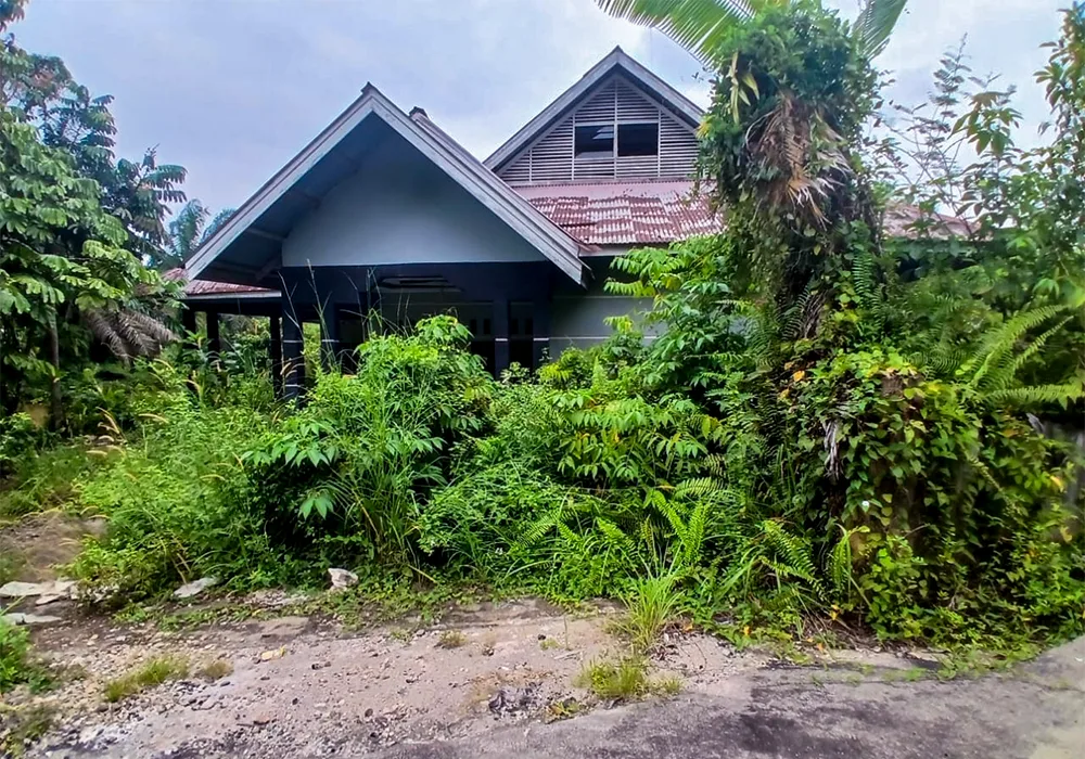 TANAH DI KAB. KUANTAN SINGINGI - WOFF755-1 - Riau