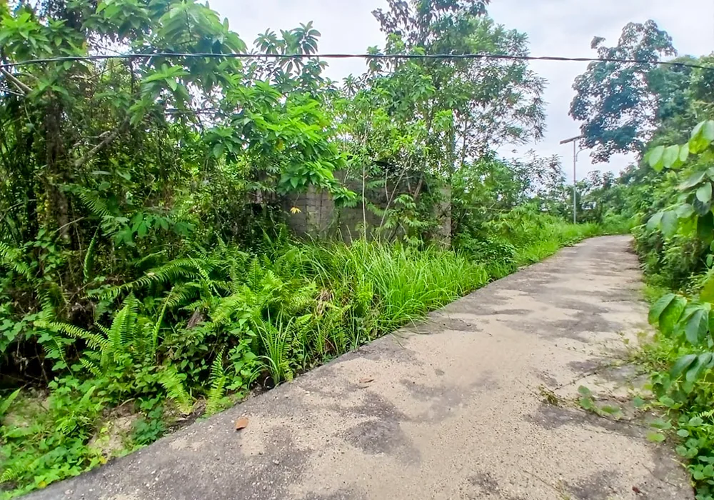 TANAH DI KAB. KUANTAN SINGINGI - WOFF755-1 - foto 3