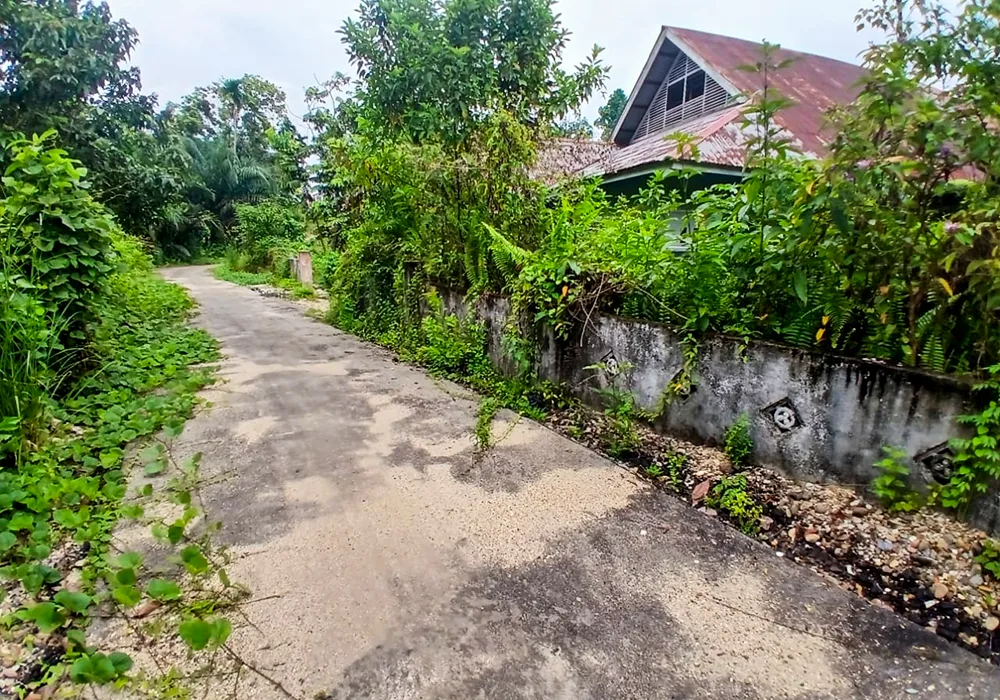 TANAH DI KAB. KUANTAN SINGINGI - WOFF755-1 - foto 4