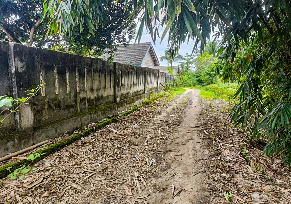 RUMAH DI KAB. LAMPUNG UTARA - WOFF756-1 - foto 5