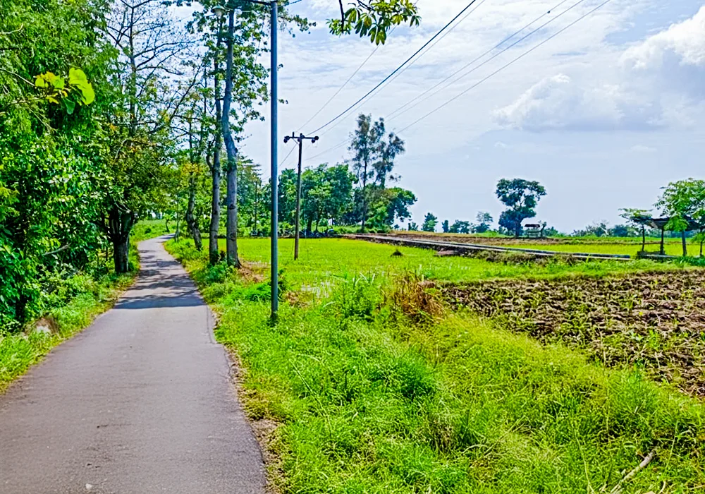 TANAH DI KAB. SITUBONDO - WOFF787-1 - foto 4