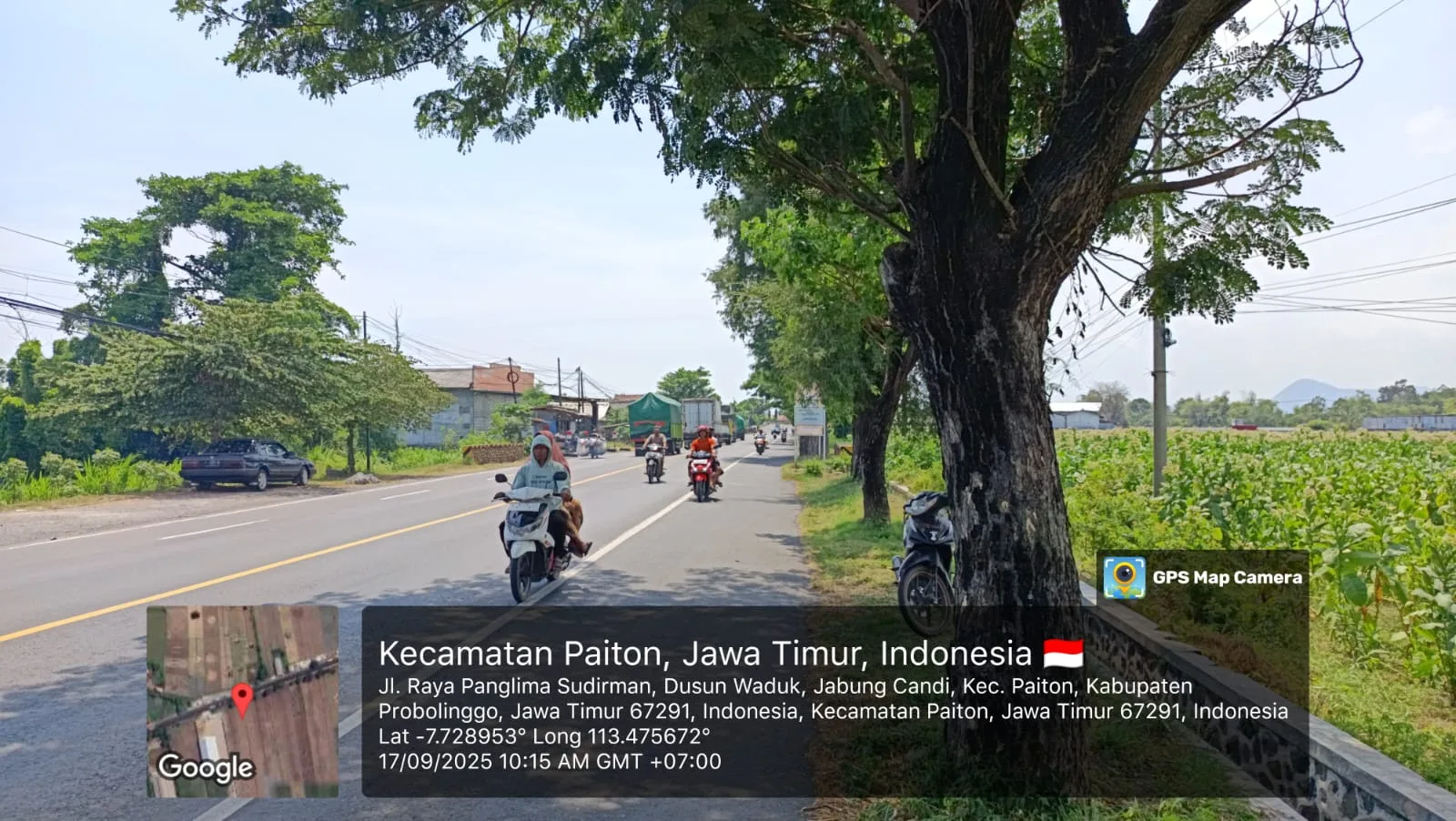 TANAH DI KAB. PROBOLINGGO - WOFF796-3 - foto 2