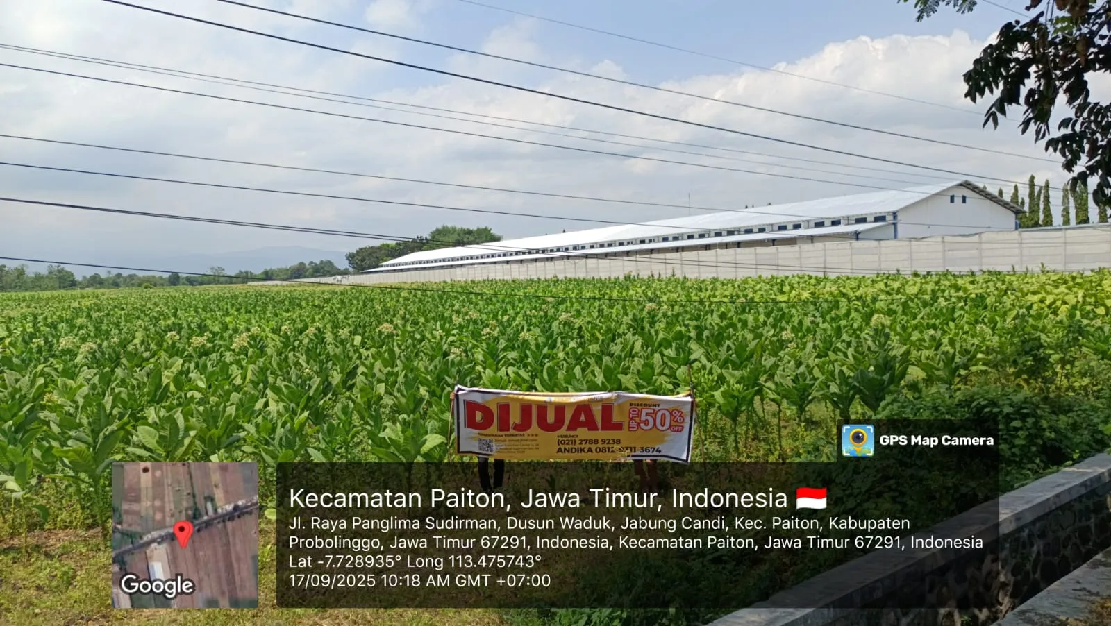 TANAH DI KAB. PROBOLINGGO - WOFF796-4 - foto 2