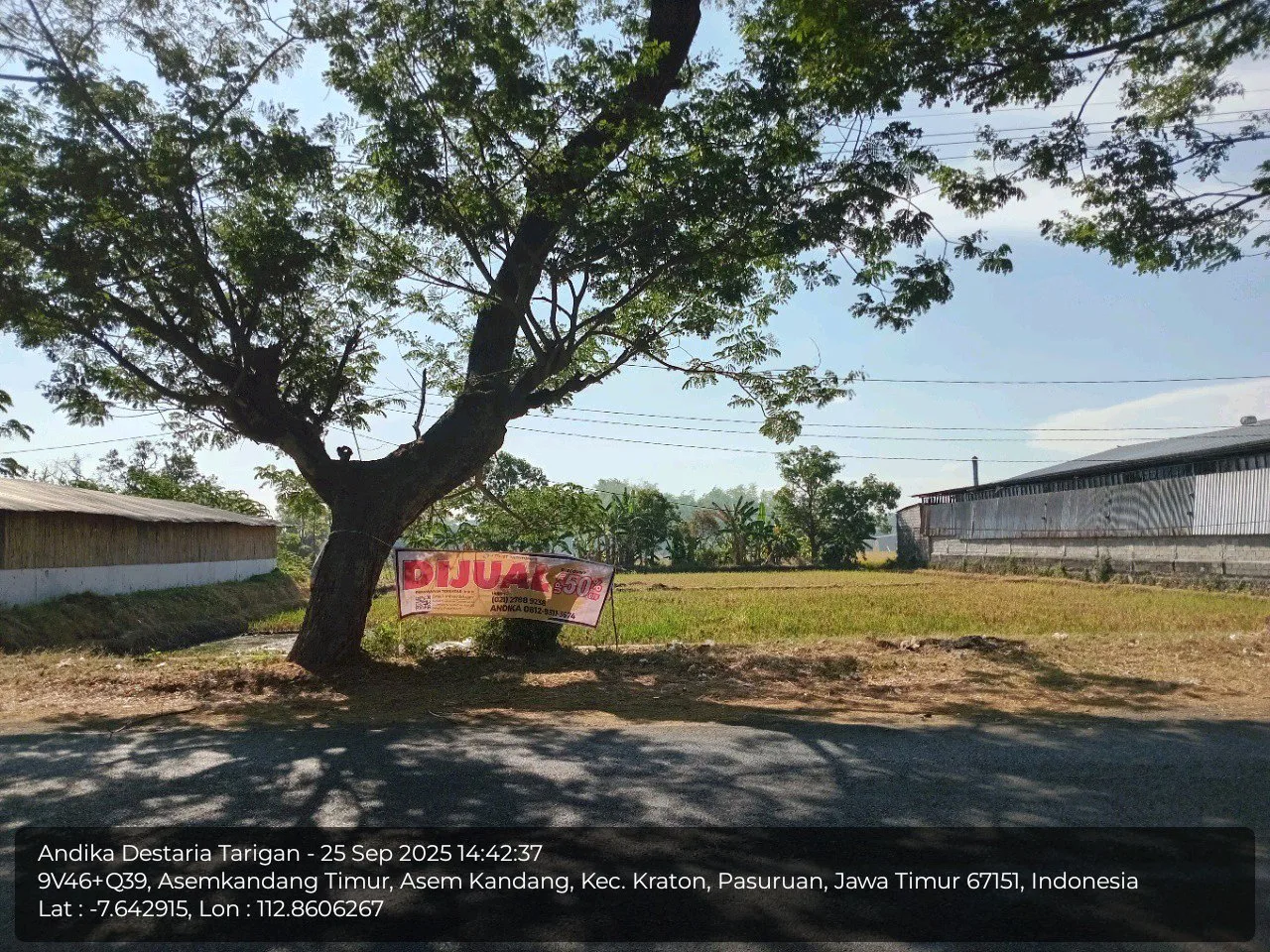 TANAH DI KAB. PASURUAN - WOFF797-5 - JAWA TIMUR