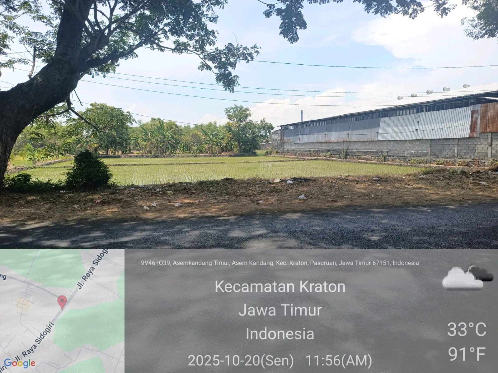 TANAH DI KAB. PASURUAN - WOFF797-5 - foto 5