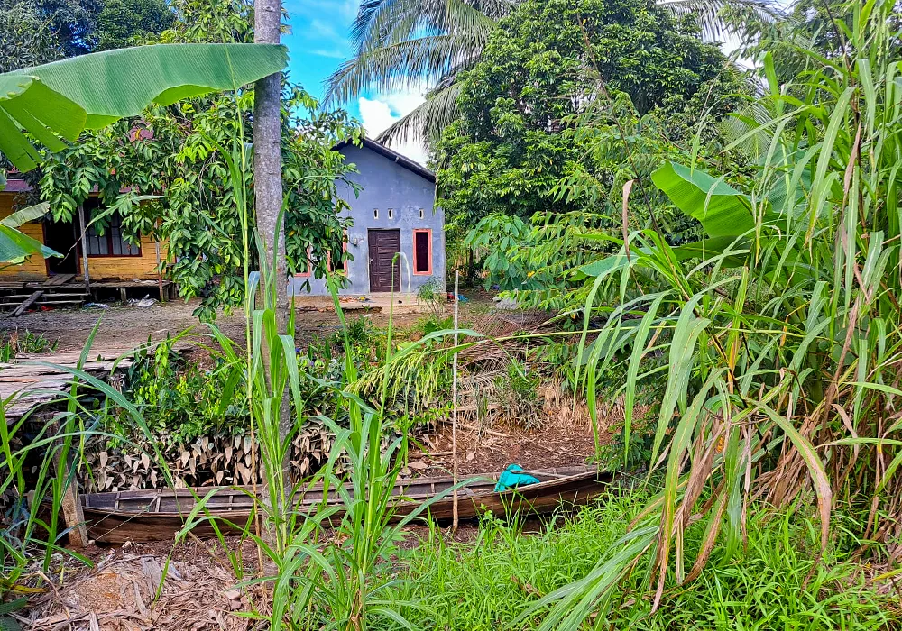 TANAH DI KAB. PULANG PISAU - WOFF874-1 - foto 2