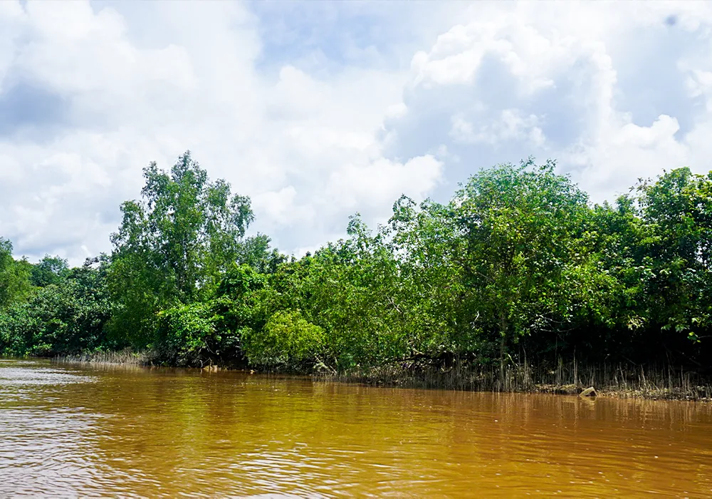 TANAH DI KAB. PULANG PISAU - WOFF874-1 - foto 4
