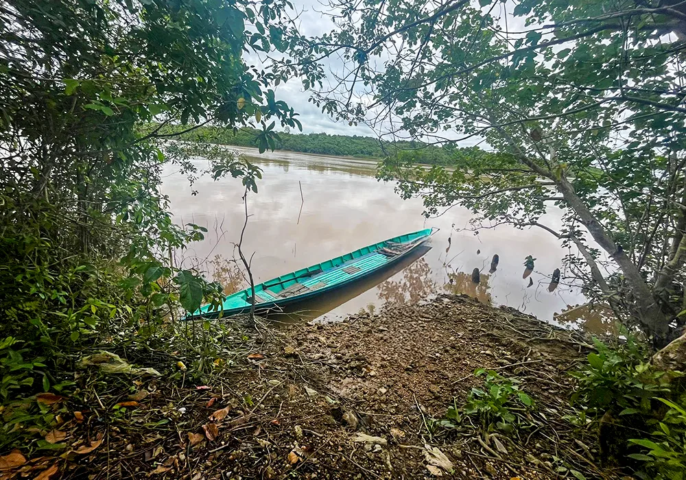 TANAH DI KAB. PULANG PISAU - WOFF874-2 - foto 3