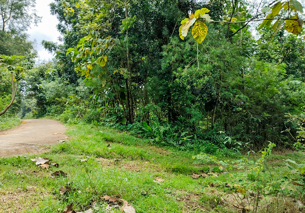 TANAH DI KAB. SUKOHARJO - WOFF351-4 - foto 2